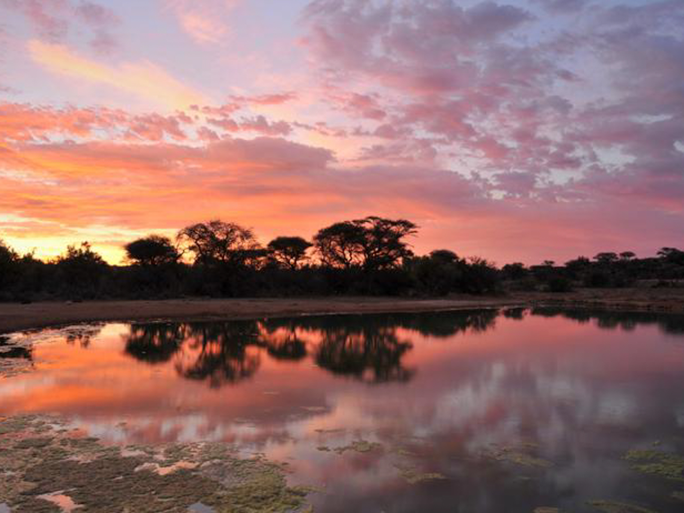 Savanna Private Game Reserve 2