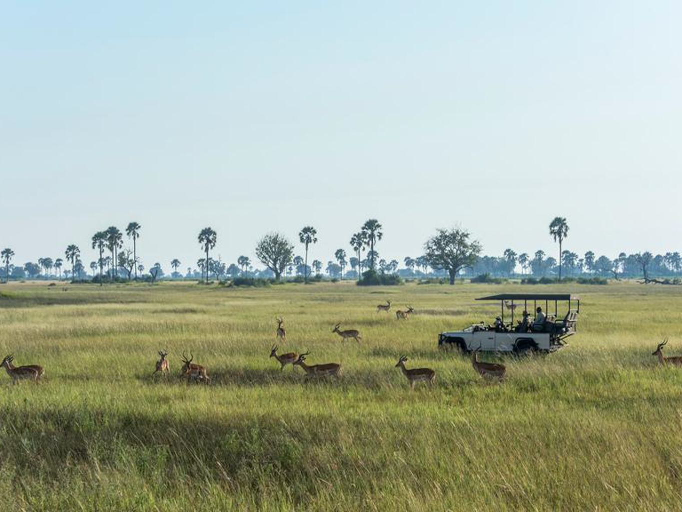 Xigera Safari Lodge 4